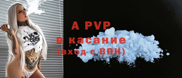 хмурый Абаза