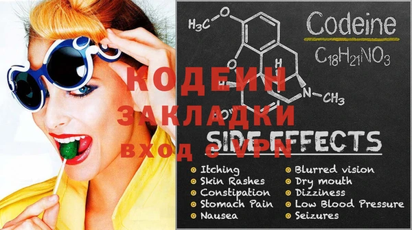хмурый Абаза