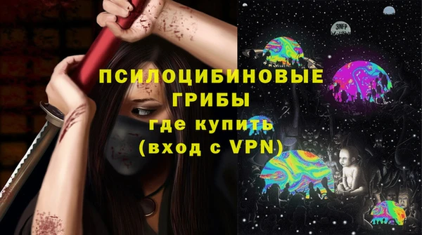 хмурый Абаза