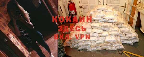 хмурый Абаза