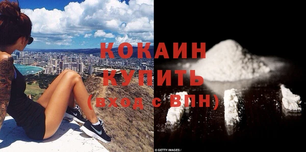 хмурый Абаза