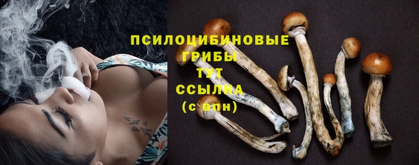 спиды Абинск