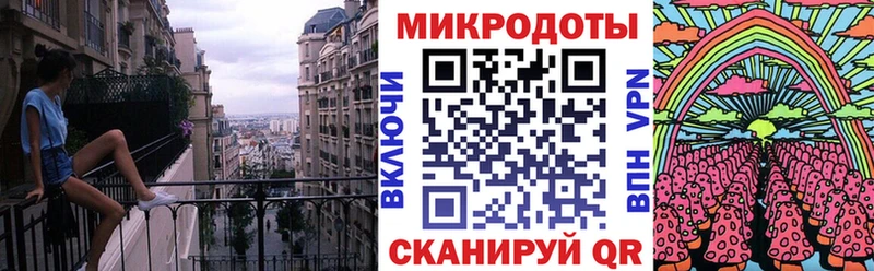 как найти   Эртиль  Псилоцибиновые грибы Psilocybe 